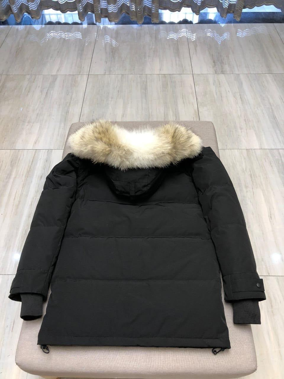 Canada Goose