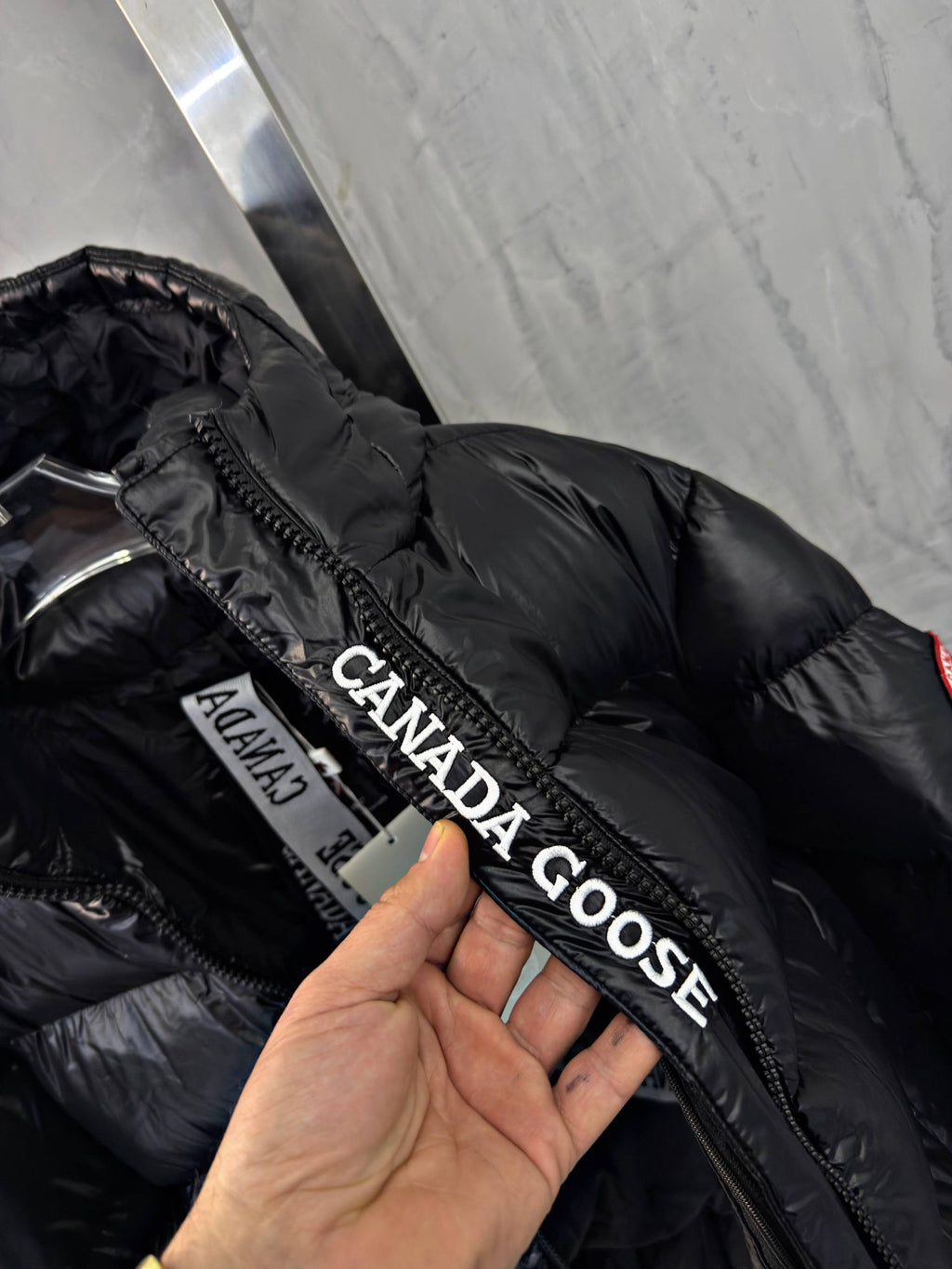 Canada Goose